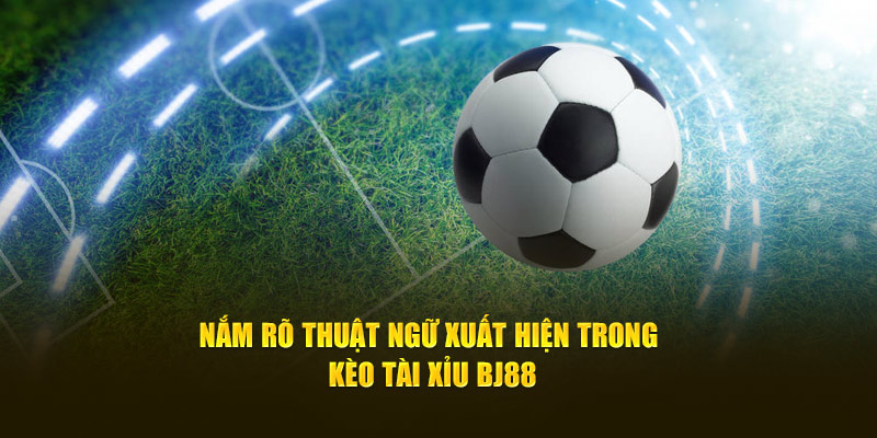 Nắm rõ thuật ngữ xuất hiện trong kèo Tài xỉu BJ88